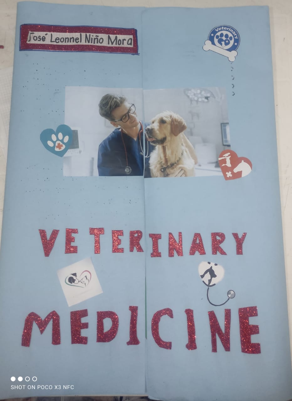 Proyecto de veterinaria